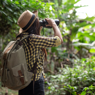 Wellness Products Explorer